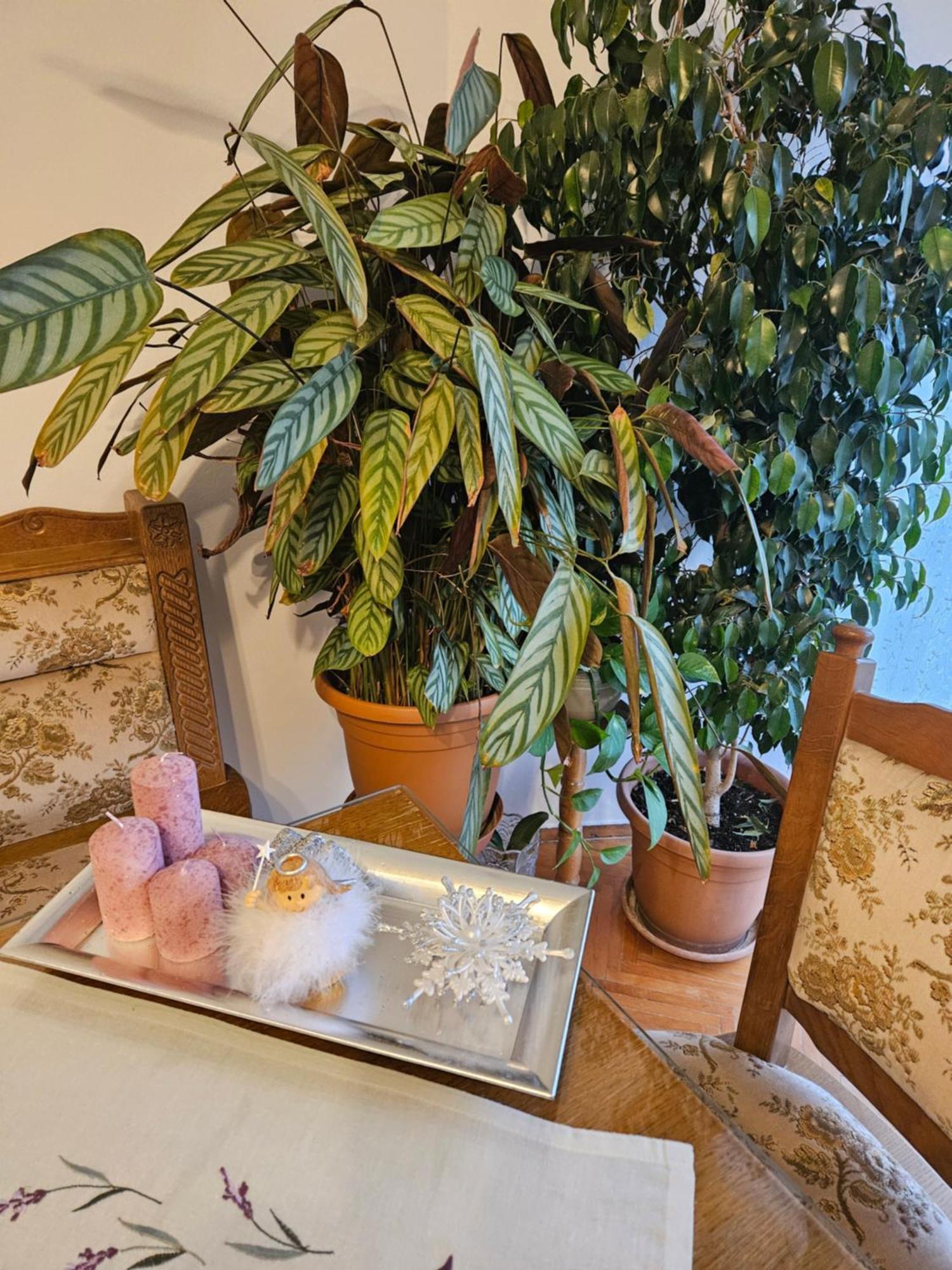 Apartman Noa Knin Dış mekan fotoğraf