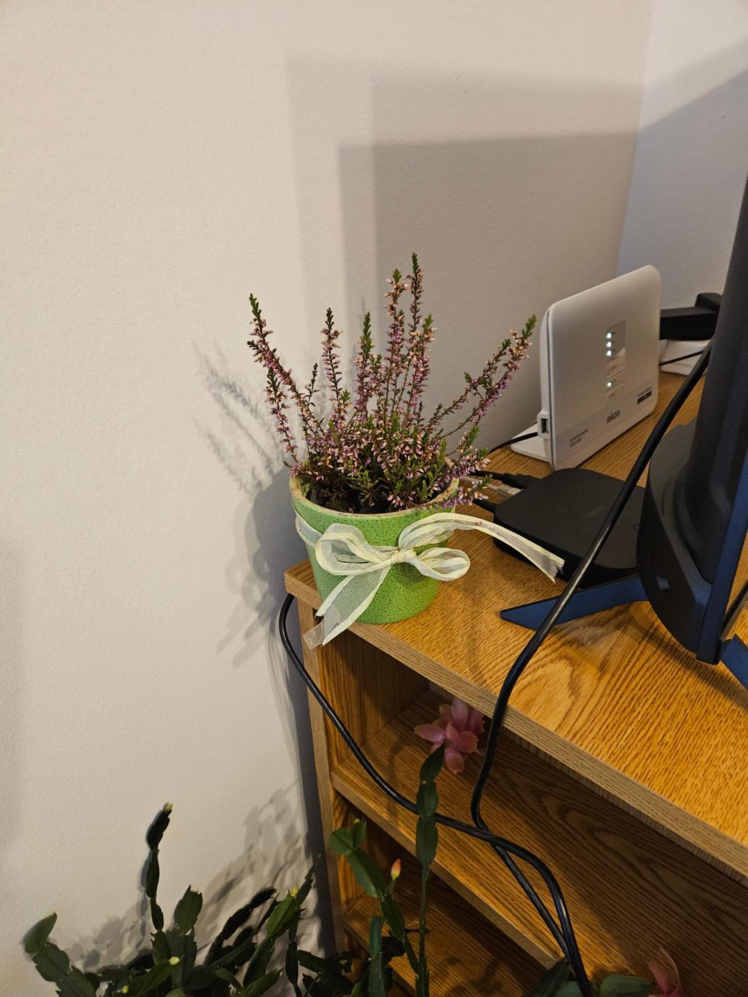 Apartman Noa Knin Dış mekan fotoğraf